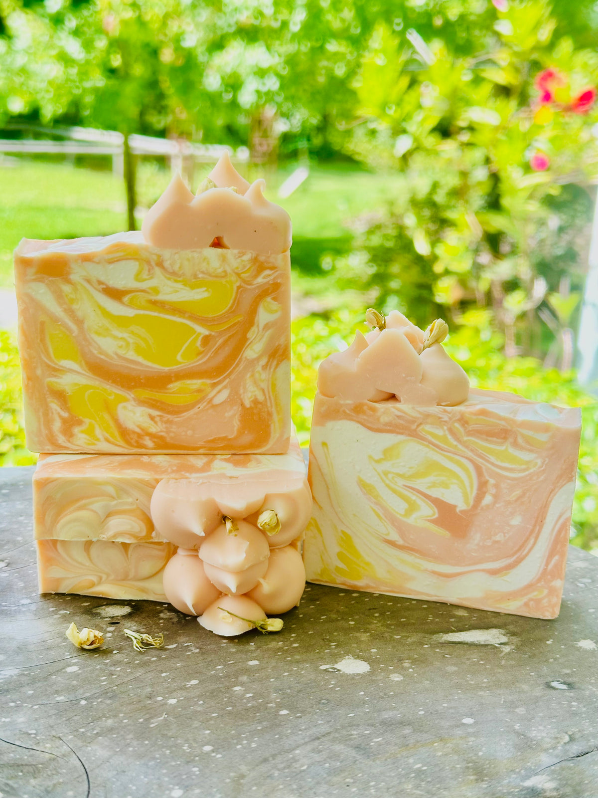 Kumquat ON SALE