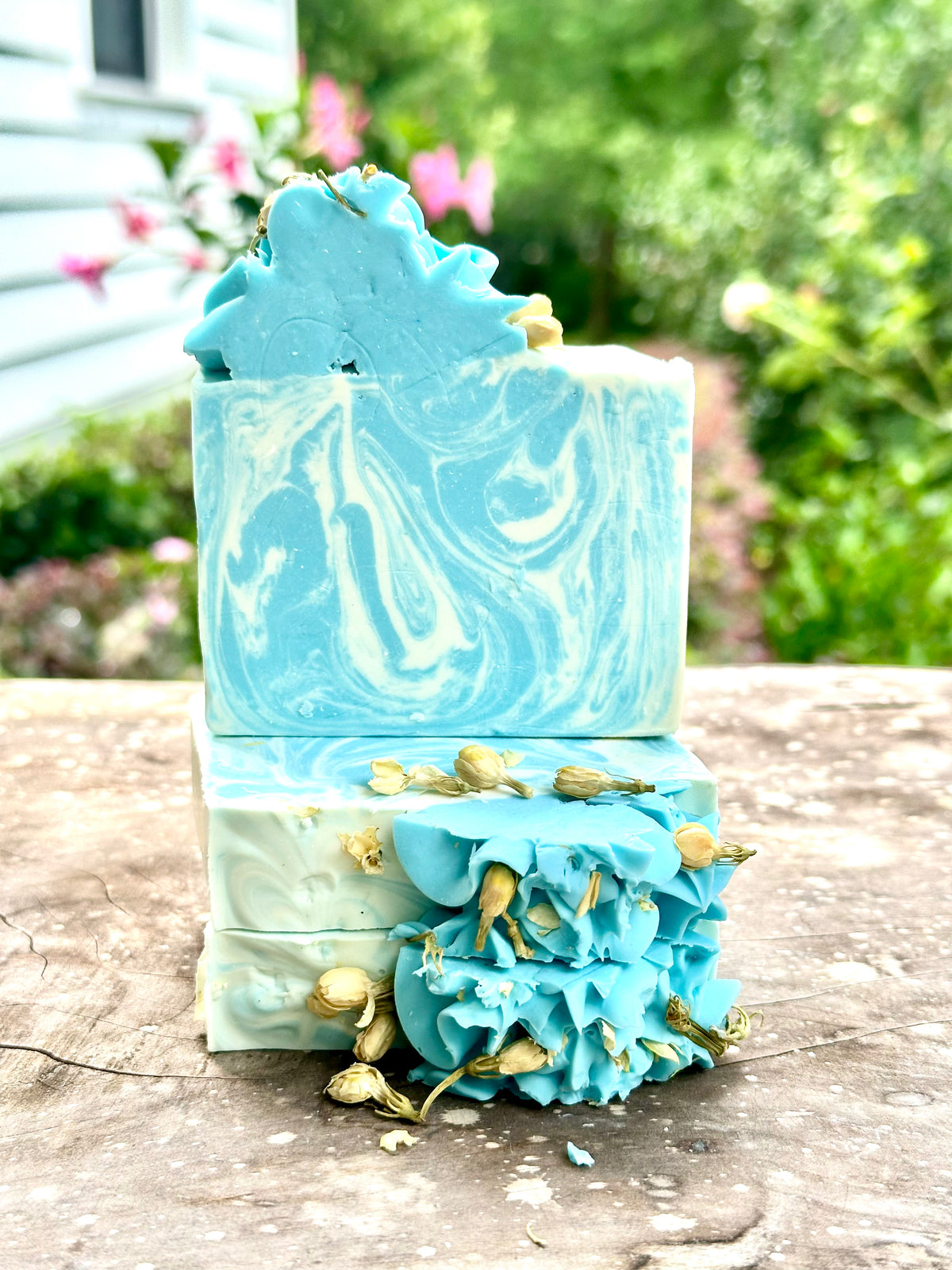 Blue Jasmine. ON SALE